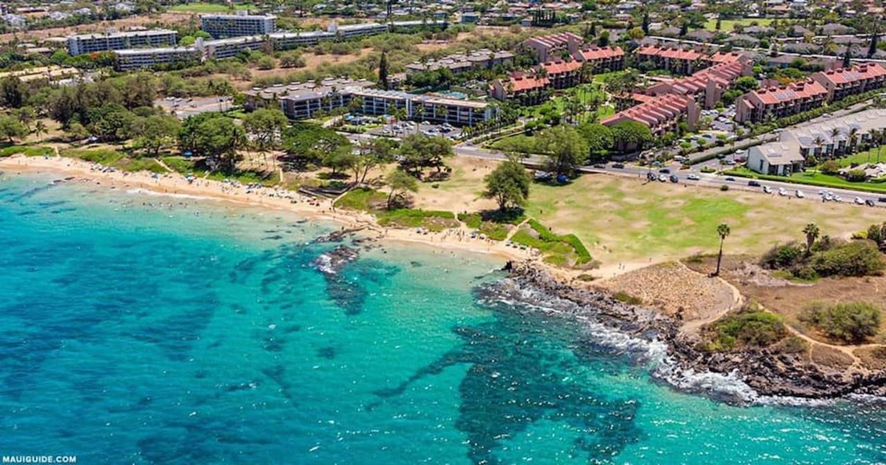 Penthouse 1 Bd King Suite With Ocean Views! Wailea  Extérieur photo