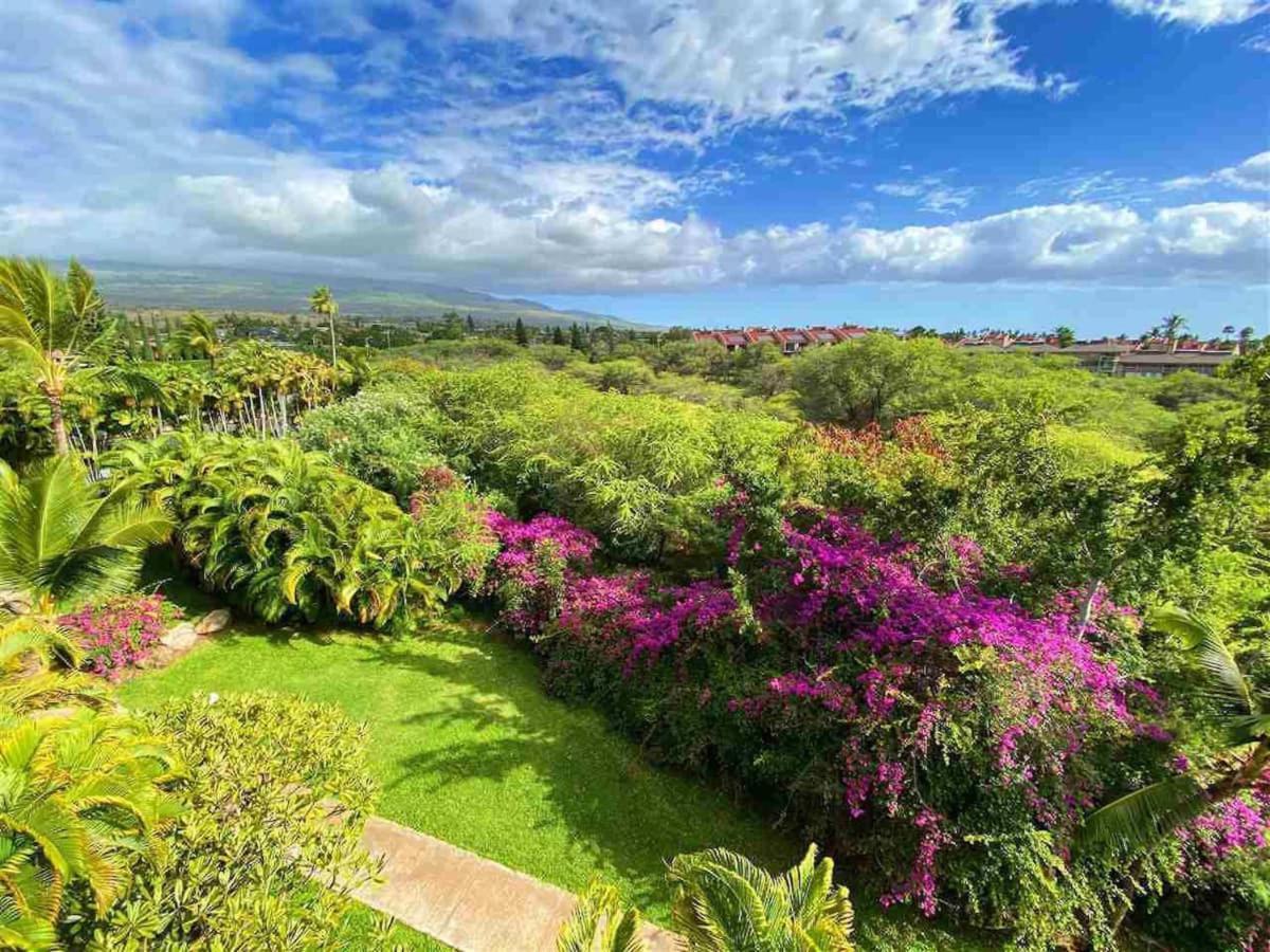 Penthouse 1 Bd King Suite With Ocean Views! Wailea  Extérieur photo
